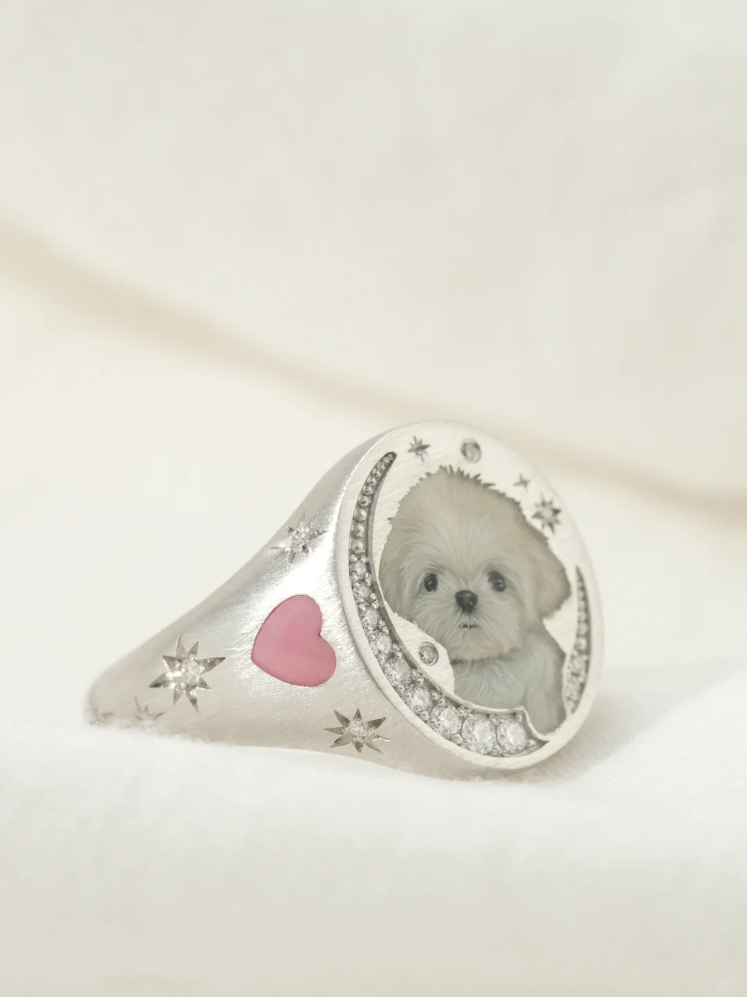 Custom Pet Portrait Ring 260617.7 - view 3