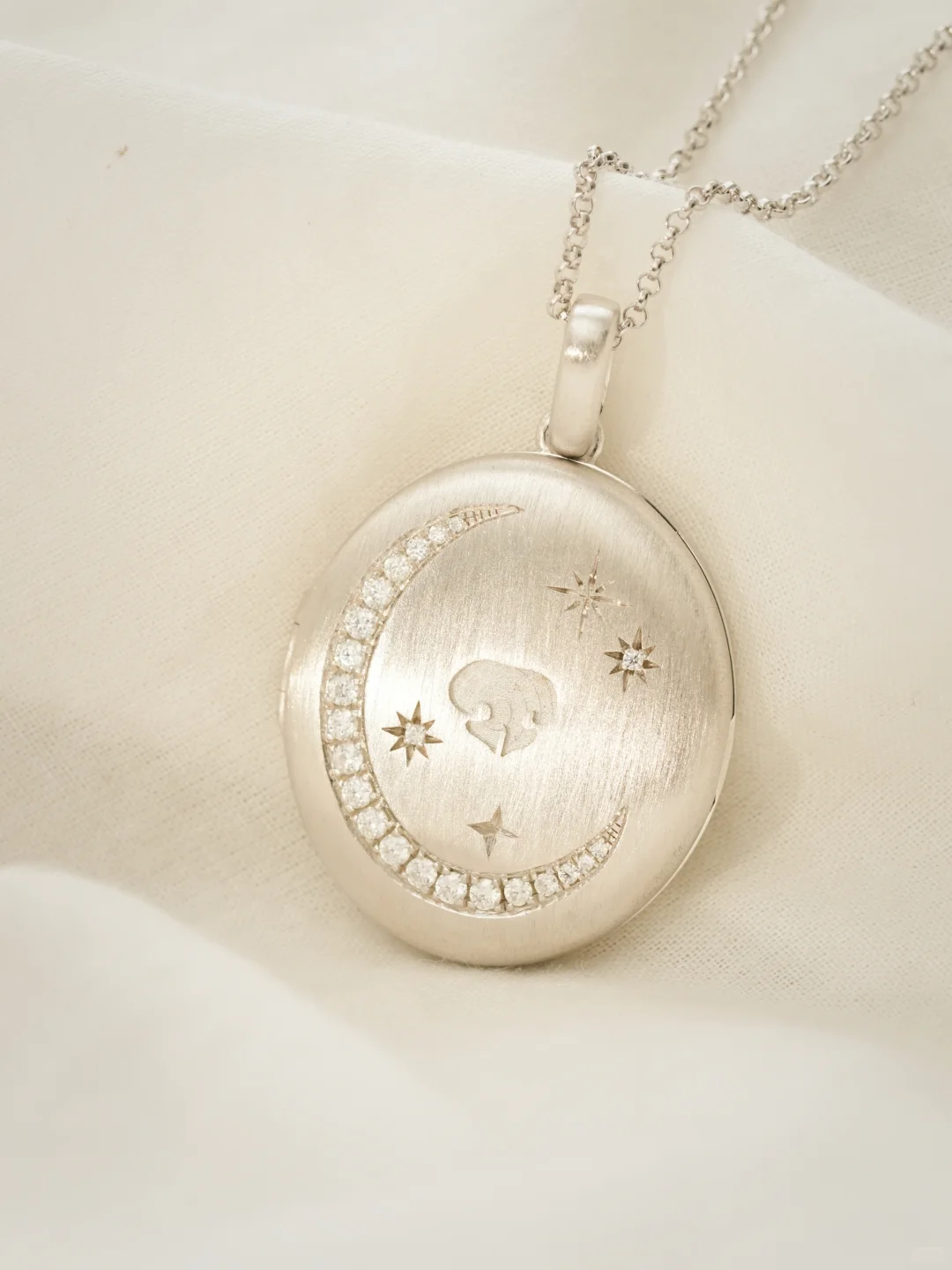 Moonlit Meadow Pet Portrait Locket image 4
